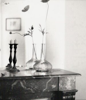 04_© Veronica Mecchia_Vanitas_Paris, 2007.jpg