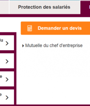 Protection du Dirigeant.png